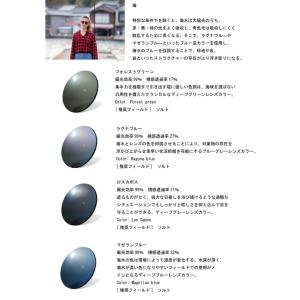 伊藤光学 RARTS アーツ 偏光薄型遠近両用...の詳細画像3