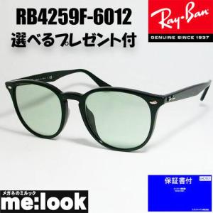 Ray-Ban（レイバン） RB4259F グレー 53サイズ サングラス クラシック