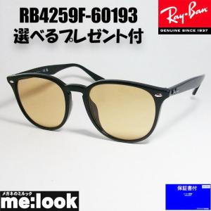 Ray-Ban レイバン ボストン サングラス rb4259f 601/71 53mm