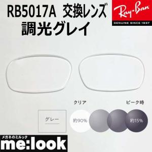 ReVision リビジョン x RayBan レイバン RB3016 RB3016F用 交換レンズ