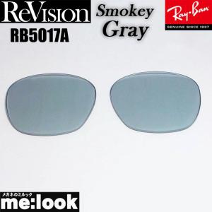 ReVision リビジョン RayBan レイバン RB4259F用 交換レンズ スカイ