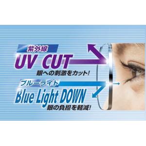 HOYA レイガード435 度付 薄型 非球面1.60 ＵＶ/青色光カット 撥水（2枚価格) レンズ...