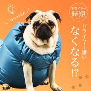 ペット用 ドライスーツ 乾燥 ドライヤー スーツ ボックス 犬猫用 プール 風呂 ドライジャケット ドライルーム  猫 速乾 乾燥