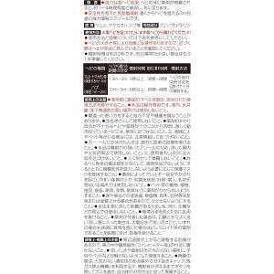 イカリ消毒 スーパー毒ヘビジェット 300mlの詳細画像1