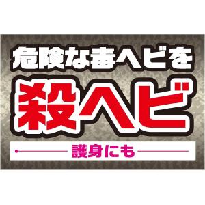 イカリ消毒 スーパー毒ヘビジェット 300mlの詳細画像3