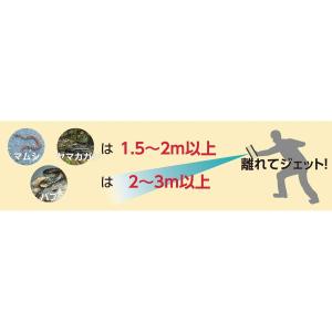 イカリ消毒 スーパー毒ヘビジェット 300mlの詳細画像4