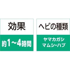イカリ消毒 スーパー毒ヘビジェット 300mlの詳細画像5