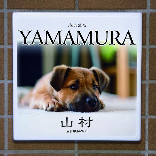 ペットの写真を表札に。オリジナル表札の制作