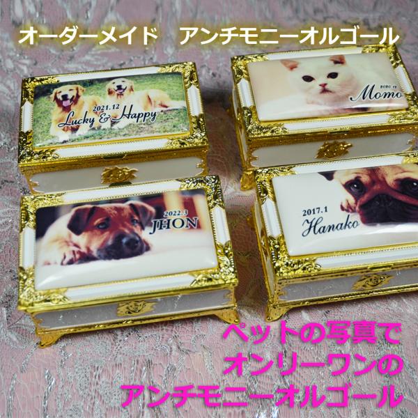 アンチモニーオルゴール  ペットの写真で貴方だけのアンチモニー。ペットとの思い出に オーダーメイド ...