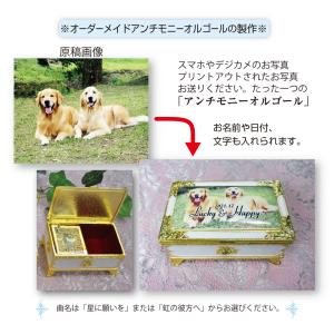 アンチモニーオルゴール ペットの写真で貴方だけ...の詳細画像4