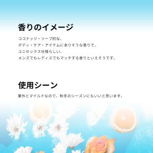 並行輸入品 メゾン マルジェラ 香水 お試し ...の詳細画像3