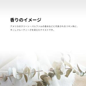 並行輸入品 メゾン マルジェラ 香水 お試し ...の詳細画像3