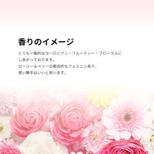 並行輸入品 イヴサンローラン 香水 お試し 分...の詳細画像3