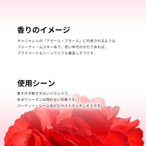 並行輸入品 レブロン 香水 お試し 分割販売 ...の詳細画像3