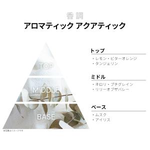 並行輸入品 香水 お試し 分割販売 メンズ レ...の詳細画像1