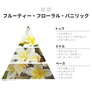 並行輸入品 アナスイ 香水 お試し 分割販売 ...の詳細画像1
