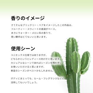 並行輸入品 ディメーター 香水 お試し 分割販...の詳細画像2