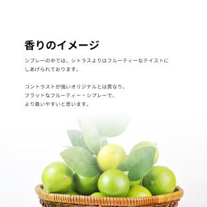 並行輸入品 クロエ 香水 お試し 分割販売 レ...の詳細画像3