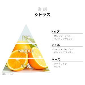 並行輸入品 ソンボン 香水 お試し 分割販売 ...の詳細画像1