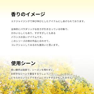 並行輸入品 エリザベスアーデン 香水 お試し ...の詳細画像3