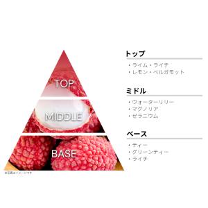 並行輸入品 エリザベスアーデン 香水 お試し ...の詳細画像1
