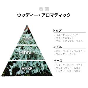 並行輸入品 香水 お試し 分割販売 メンズ バ...の詳細画像1