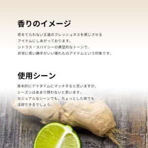 並行輸入品 ディーゼル 香水 お試し 分割販売...の詳細画像3