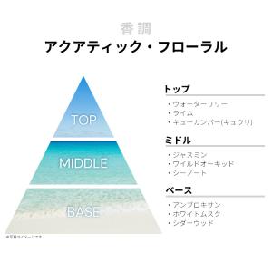 並行輸入品 マイケルコース 香水 お試し 分割...の詳細画像1