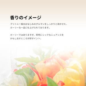 並行輸入品 ブリトニー スピアーズ 香水 お試...の詳細画像3