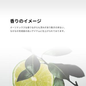 並行輸入品 デヴィッド ベッカム 香水 お試し...の詳細画像3