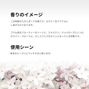 並行輸入品 アイグナー 香水 お試し 分割販売...の詳細画像3