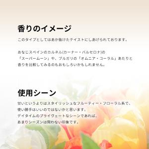 並行輸入品 アガタ ルイス デ ラ プラダ 香...の詳細画像3