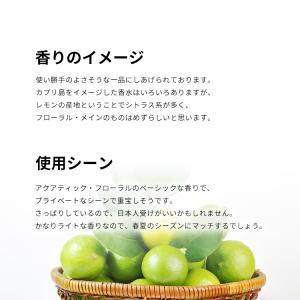 並行輸入品 ヴィンス カムート 香水 お試し ...の詳細画像3