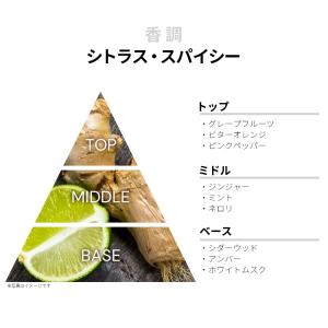 並行輸入品 アイスバーグ 香水 お試し 分割販...の詳細画像1