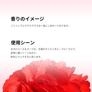 並行輸入品 エス テー デュポン 香水 お試し...の詳細画像3