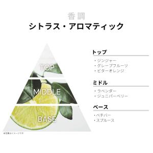 並行輸入品 香水 お試し 分割販売 メンズ ロ...の詳細画像1