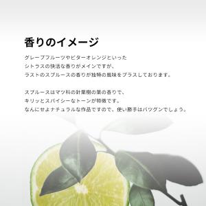 並行輸入品 香水 お試し 分割販売 メンズ ロ...の詳細画像3