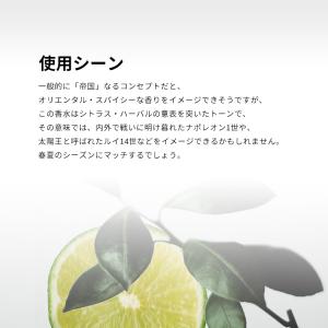 並行輸入品 香水 お試し 分割販売 メンズ レ...の詳細画像3