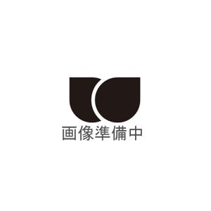 並行輸入品 コムデギャルソン 香水 メンズ レディース ルージュ EDP・SP 100ml プレゼント 贈り物 ギフト ROUGE COMME DE GARCONS 爆買