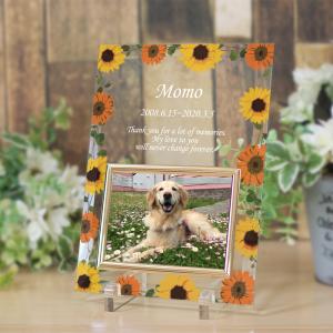 フォトフレーム 写真立て ドリームガーデンイエローフラワー