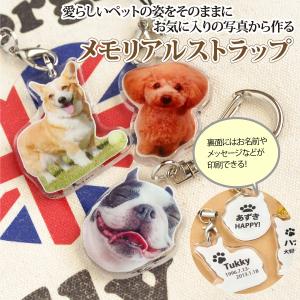 キーホルダー ペットメモリアルキーホルダー クリックポスト便対応