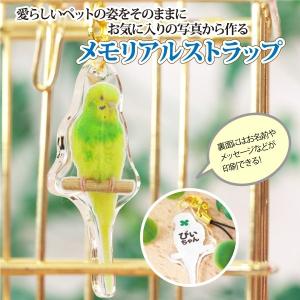 キーホルダー 小鳥のキーホルダー クリックポスト...の商品画像