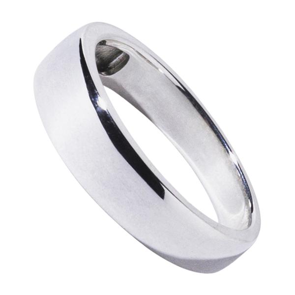 メモリアルリング LJR31 [pt900] 完全防水 樹脂埋封ジュエリー　プラチナ製