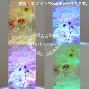 ハーバリウム サークルボトル 水明華 LED ...の詳細画像1