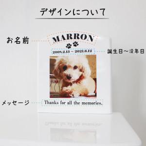 ペット仏壇 キャビネット フルカラー 写真プリ...の詳細画像4
