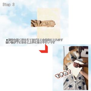 ペット 位牌【DNA stock assist...の詳細画像5