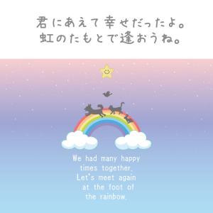 盆提灯 ペット 虹の橋 レインボー LED 岐...の詳細画像4