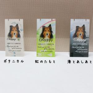 ペット位牌 メモリアル遺骨ペンダント アクリル...の詳細画像2