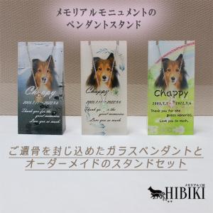 ペット位牌 メモリアル遺骨ペンダント アクリル...の詳細画像1