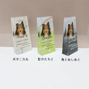 ダンシングストーン クロスフォー 遺骨 ペンダ...の詳細画像3